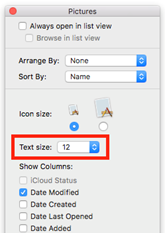 Click the drop down menu next to Text size and choose a new font size